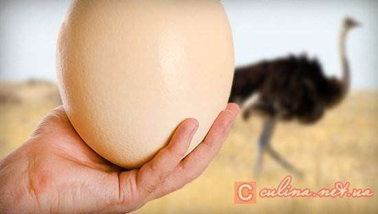 Сколько варить страусиные яйца?