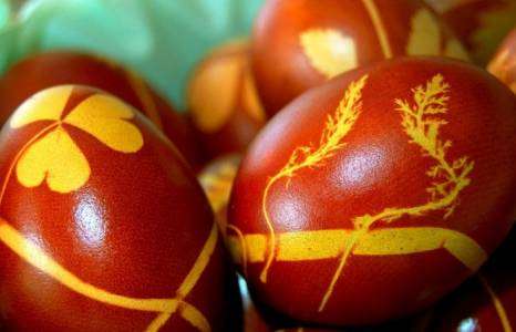 Яйца, крашеные луковой шелухой