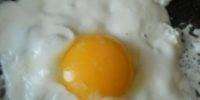ec40ef7ab7ad0dc797aec8406406a0ac